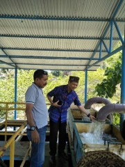 KUNJUNGAN BUPATI MANGGARAI BARAT KE WTP WAE MESE